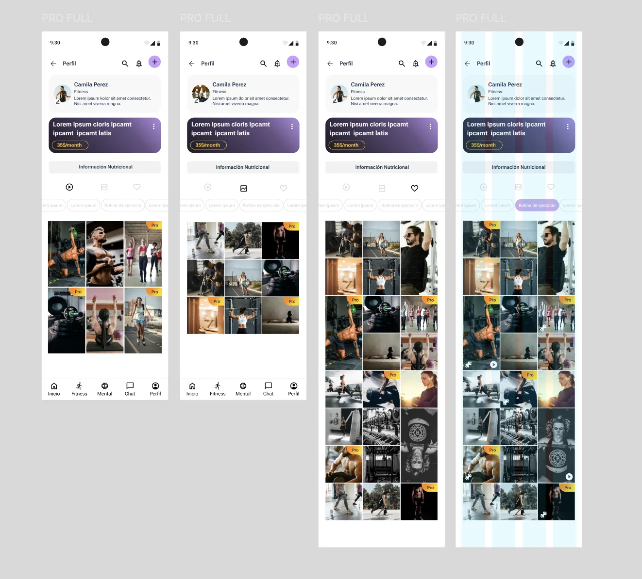Professional profile: free and Pro content, subscription plan and visible grid.